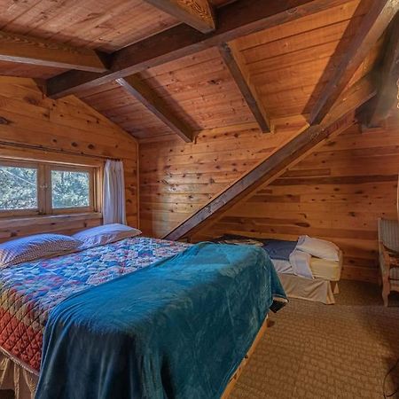פייסון Forest Cabin 3 Bear'S Den מראה חיצוני תמונה