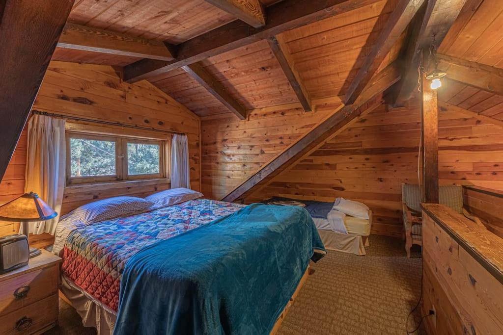פייסון Forest Cabin 3 Bear'S Den מראה חיצוני תמונה