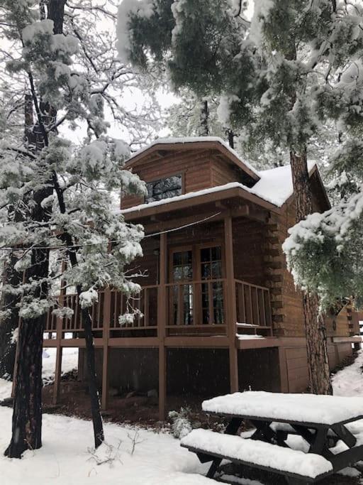 פייסון Forest Cabin 3 Bear'S Den מראה חיצוני תמונה