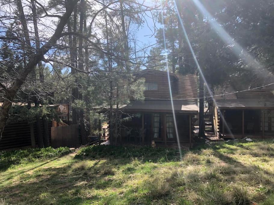 פייסון Forest Cabin 3 Bear'S Den מראה חיצוני תמונה